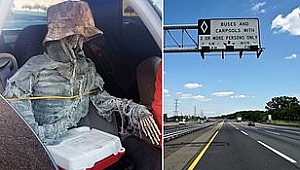 Arizona'da Şoförün Türk işi Yöntemi