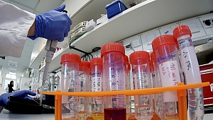 Çin'in Gribi Amerika'ya Sıçradı