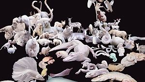 Türk Sanatçılar'dan New York Çıkarması