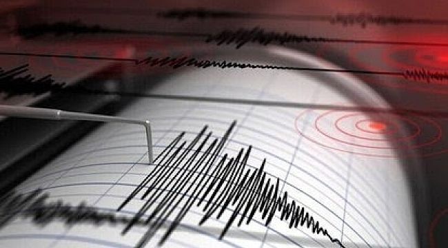 Nevada eyaletinde Şiddetli Deprem