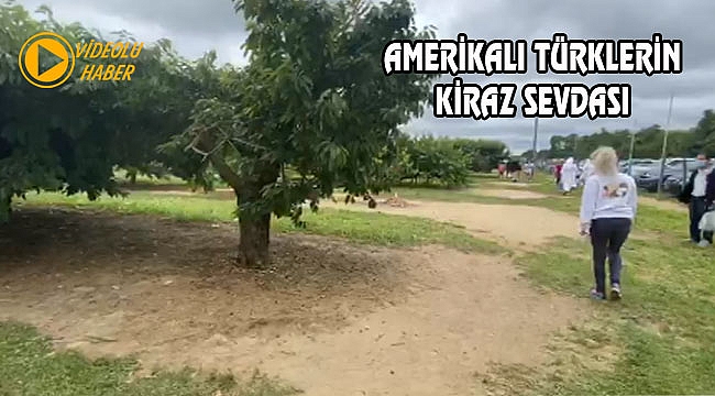 New Jersey'de Dalları Bastı Kiraz