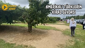 New Jersey'de Dalları Bastı Kiraz
