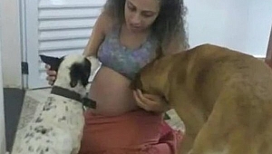Köpek İkiz Bebekleri Öldürdü