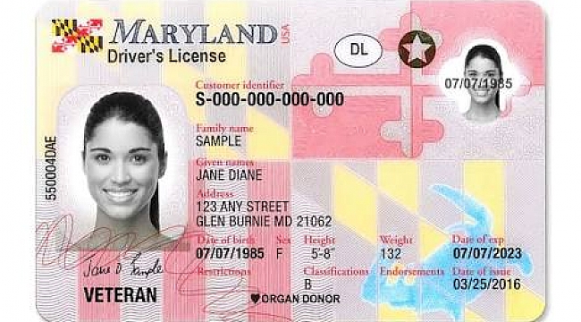 Maryland'te Herkes 8 Yıllık Ehliyet