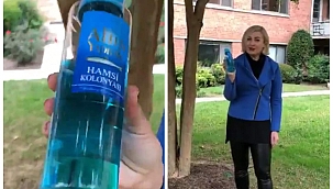 Amerika'da Hamsi Kolonyası