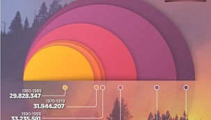 Amerika Orman Yangınları ile KÜL Oluyor 