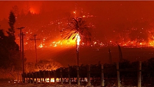 Amerika Yangınlara Çözüm Bulamıyor 