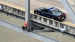 Mississippi Köprüsünde Köpek Kurtarma Operasyonu