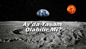 Bilim İnsanları Açıkladı; Ay'da Yaşam Olabilir!