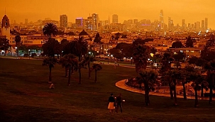 California'daki Orman Yangınlarının Ağır Bilançosu