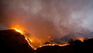 Irvine'de Yangın Devam Ediyor