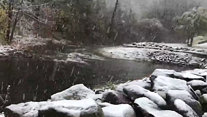 New Jersey'e Yılın İlk Karı Düştü