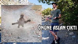 Utah'ta Gezerken Önüne Aslan Çıktı