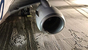 Alaska Uçağı Ayılara Çarptı