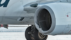 Alaska Uçağı Boz Ayıya Çarptı