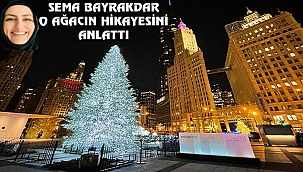 Chicago'ya Christmas Ağacı