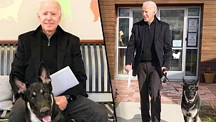 Joe Biden Ayağını Burktu