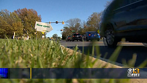 Maryland Polisi Nursen'e Çarpan Aracı Arıyor