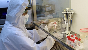 Temaslı Kişiler Ne Zaman Test Yaptırmalı?