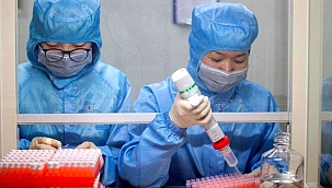 "Virüsün Kaynağı Çin Değil, Başka Bir Ülke"