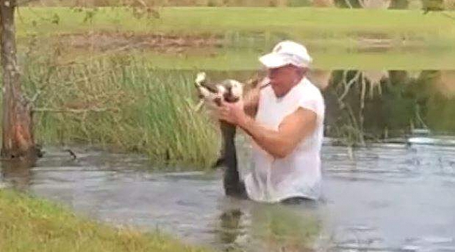 Yavru Köpeği Timsahın Ağzından Geri Aldı