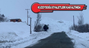 ABD'de Nisan Karı 300 Bin Haneyi Elektriksiz Bıraktı