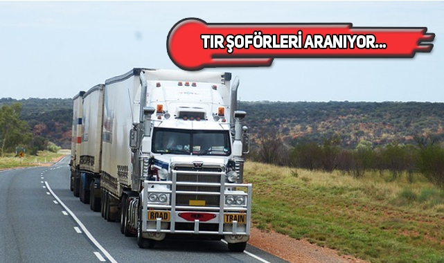 ABD - Kanada Tır Şoförü İş İlanı