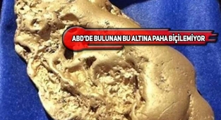 ABD'de Bir Evin Bahçesinde Dev Altın Külçesi Bulundu