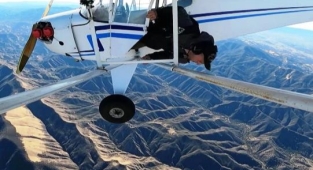 Uçağını Düşüren YouTuber'a Ceza