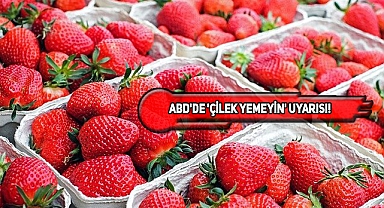 ABD'deki Çilekler Hepatit Riskiyle Toplatılıyor