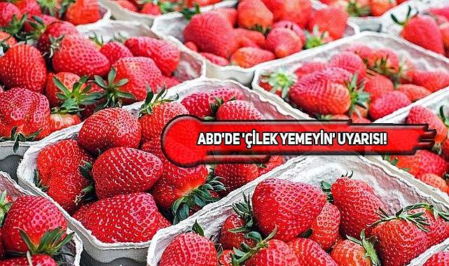 ABD'deki Çilekler Hepatit Riskiyle Toplatılıyor