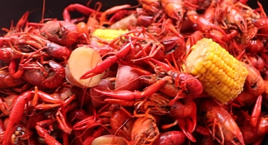 Kerevit Festivali 2 Yıl Aradan Sonra Başlıyor