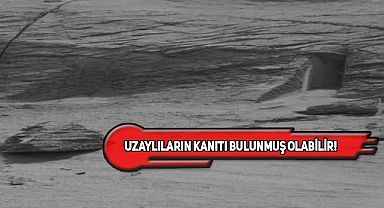 Mars'tan Çekilen Görüntü Soyal Medyayı Salladı!