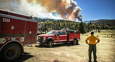 Tarihinin En Büyük Orman Yangını