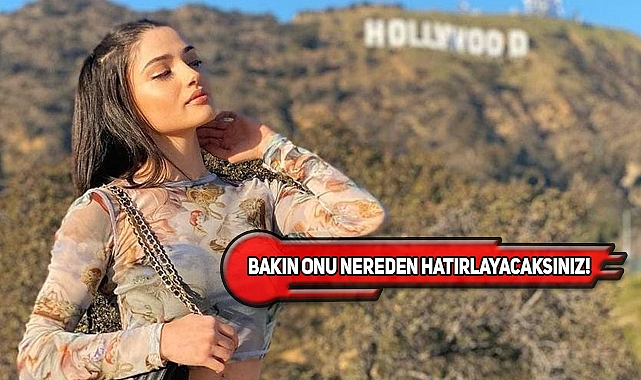 ABD'de Çökertilen Çeteden Bir De Türk Çıktı!