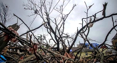 ABD'de Doğal Felaketlerin Sebebi İklim Değişikliği 