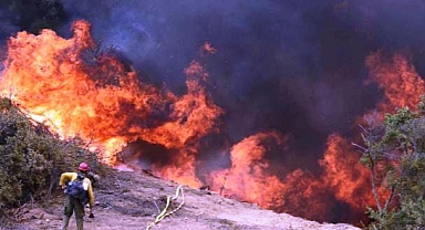 ABD, Orman Yangınlarıyla Mücadele Ediyor