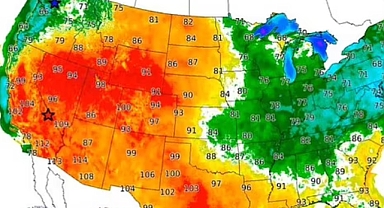 Amerika'da Kavurucu Sıcaklar...
