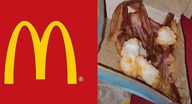 Boston'da Müslüman Kadına Domuz Yedirdiler