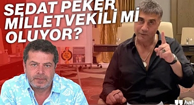 Cüneyt Özdemir, Sedat Peker'i Yorumladı