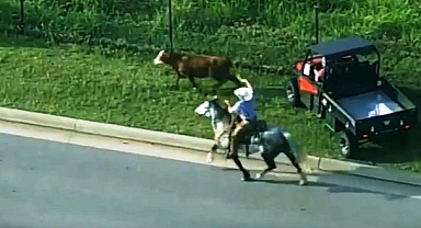  Dana Otoyola Kaçtı, Kovboylar Kementle Yakaladı