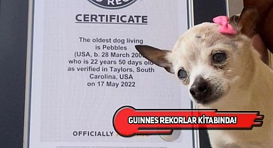 Dünyanın En Yaşlı Köpeği Pebbles ABD'den Çıktı!