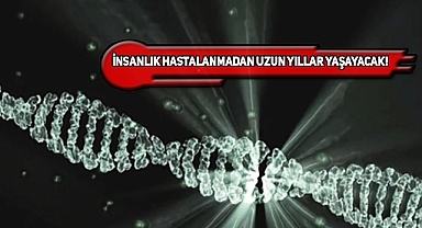 Harvard'ta Yaşlanmayı Tersine Çeviren Formül Bulundu!