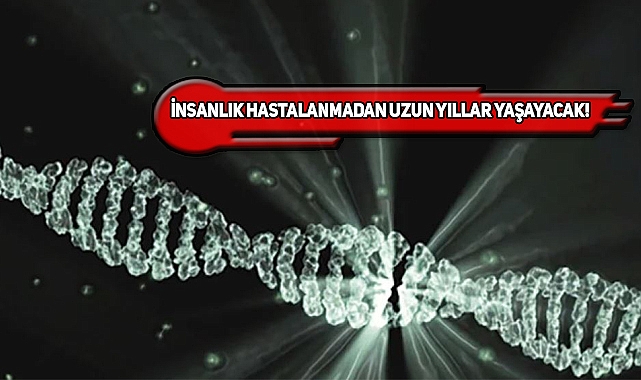 Harvard'ta Yaşlanmayı Tersine Çeviren Formül Bulundu!