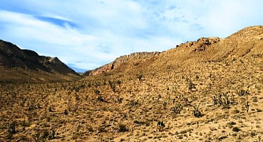 Nemi Emip Temiz Suya Dönüştüren Jel Üretildi