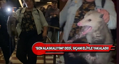 NY'ta Barda Dev Sıçanı Yakalayan Kadına Övgü Yağdı