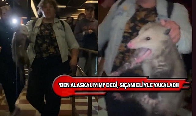 NY'ta Barda Dev Sıçanı Yakalayan Kadına Övgü Yağdı