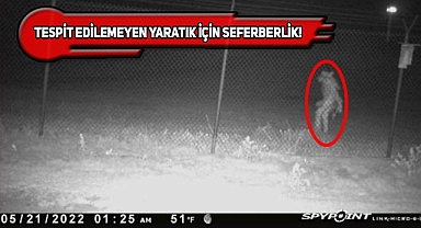 Texas'ta Güvenlik Kamerasına Yansıyan Tuhaf Yaratık