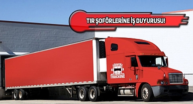 Texas'taki Türk Firmasına TIR Şoförleri Aranıyor!