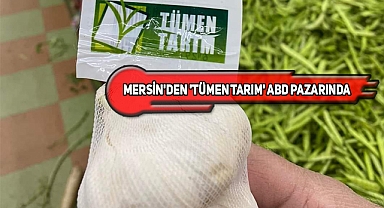 Amerika'da Nihayet Türk Sarımsağı!